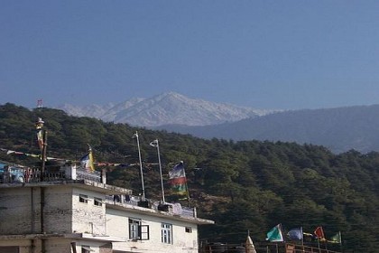 Himalayan View